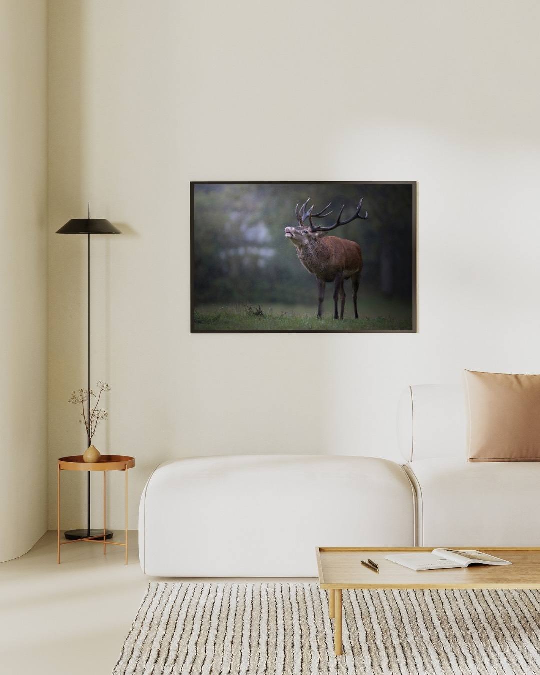 Alessandro Di Modica - Red Deer