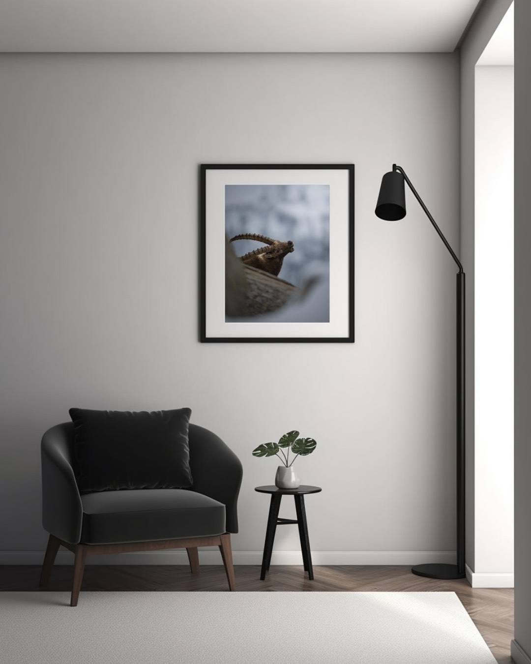 Alessandro Di Modica - Alpine Ibex and Chamois