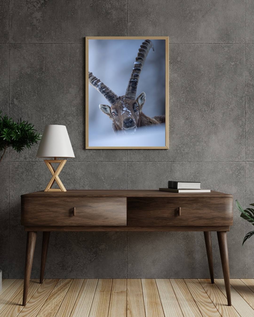 Alessandro Di Modica - Alpine Ibex and Chamois