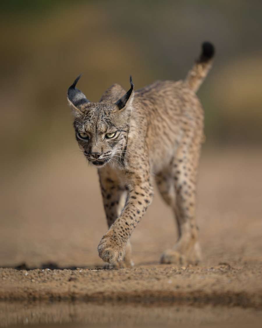 After