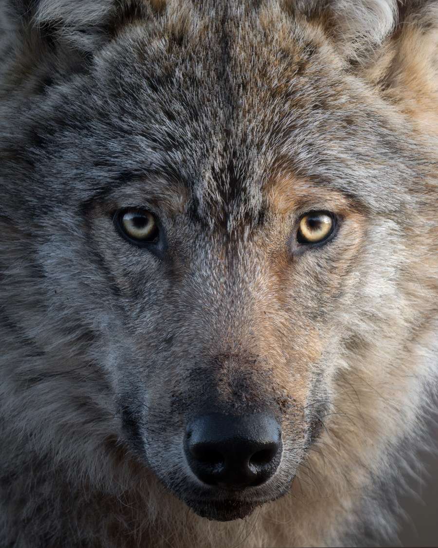 DSC_3292WEB-FINAL