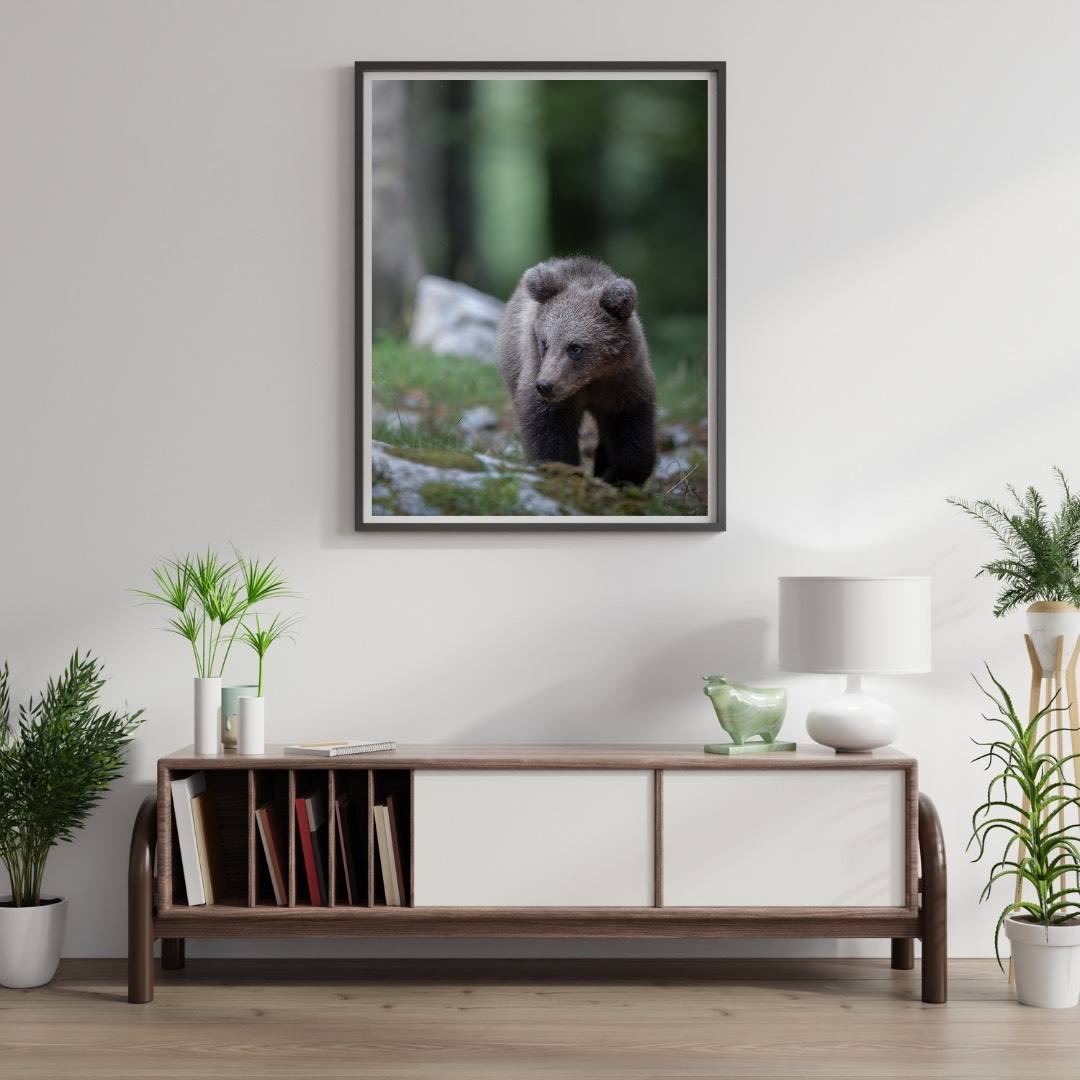 Alessandro Di Modica - Brown Bear