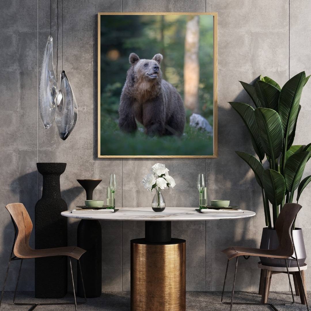 Alessandro Di Modica - Brown Bear