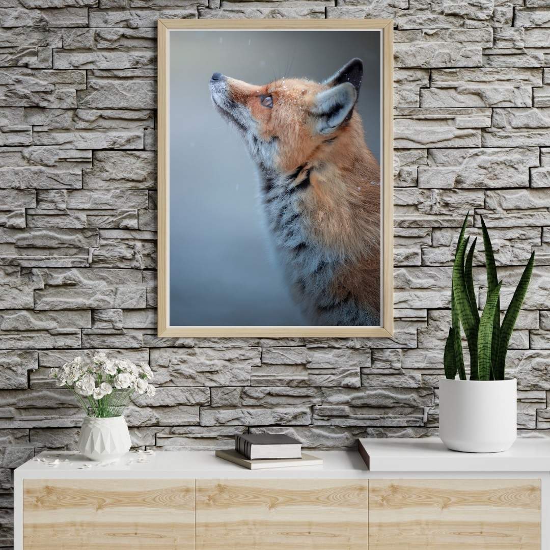 Alessandro Di Modica - Appennine Fox