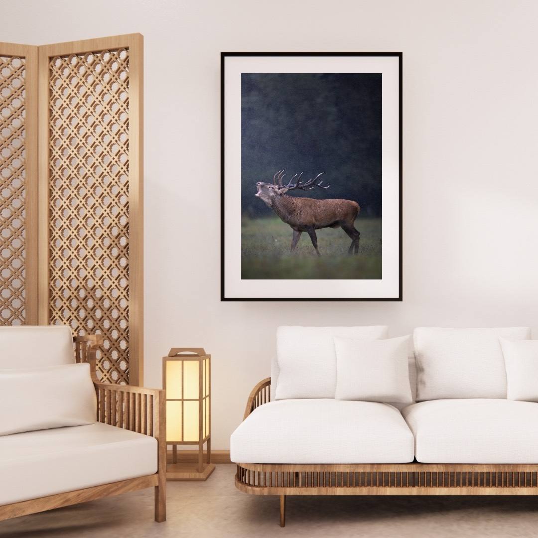 Alessandro Di Modica - Red Deer