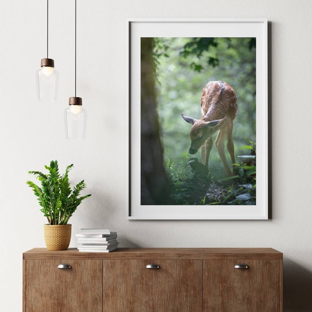 Alessandro Di Modica - Red Deer