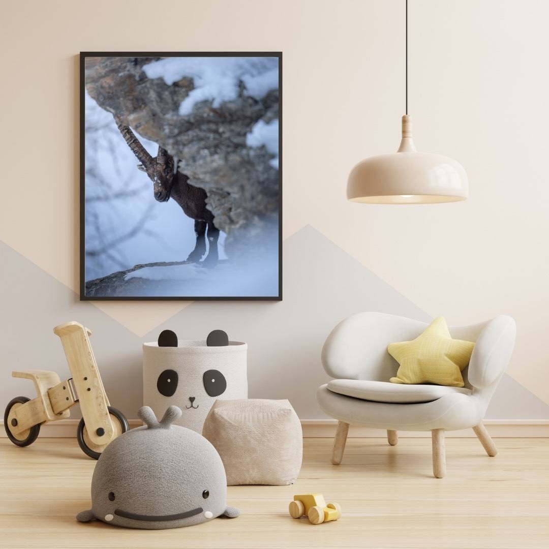 Alessandro Di Modica - Alpine Ibex and Chamois