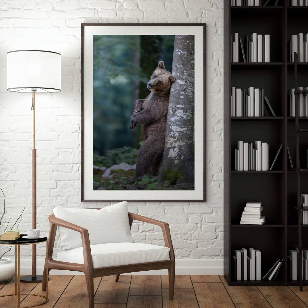 Alessandro Di Modica - Brown Bear