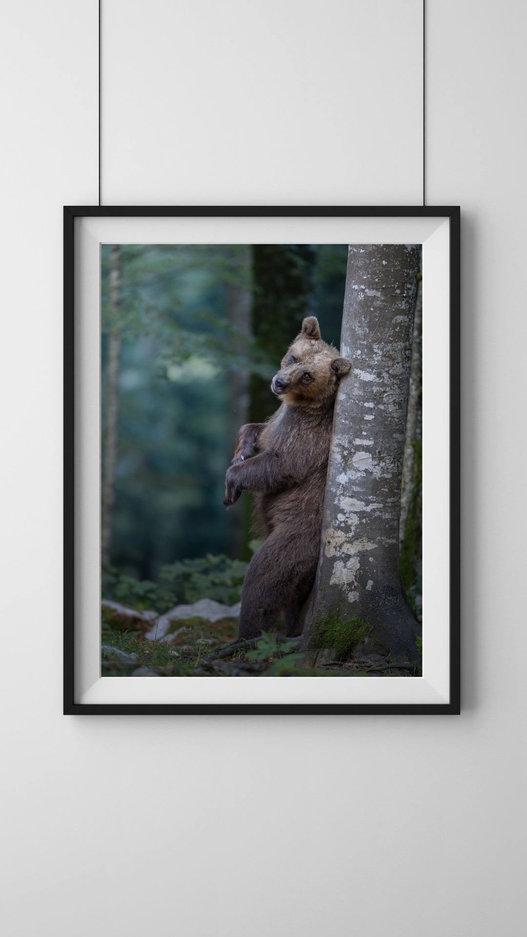 Alessandro Di Modica - Brown Bear