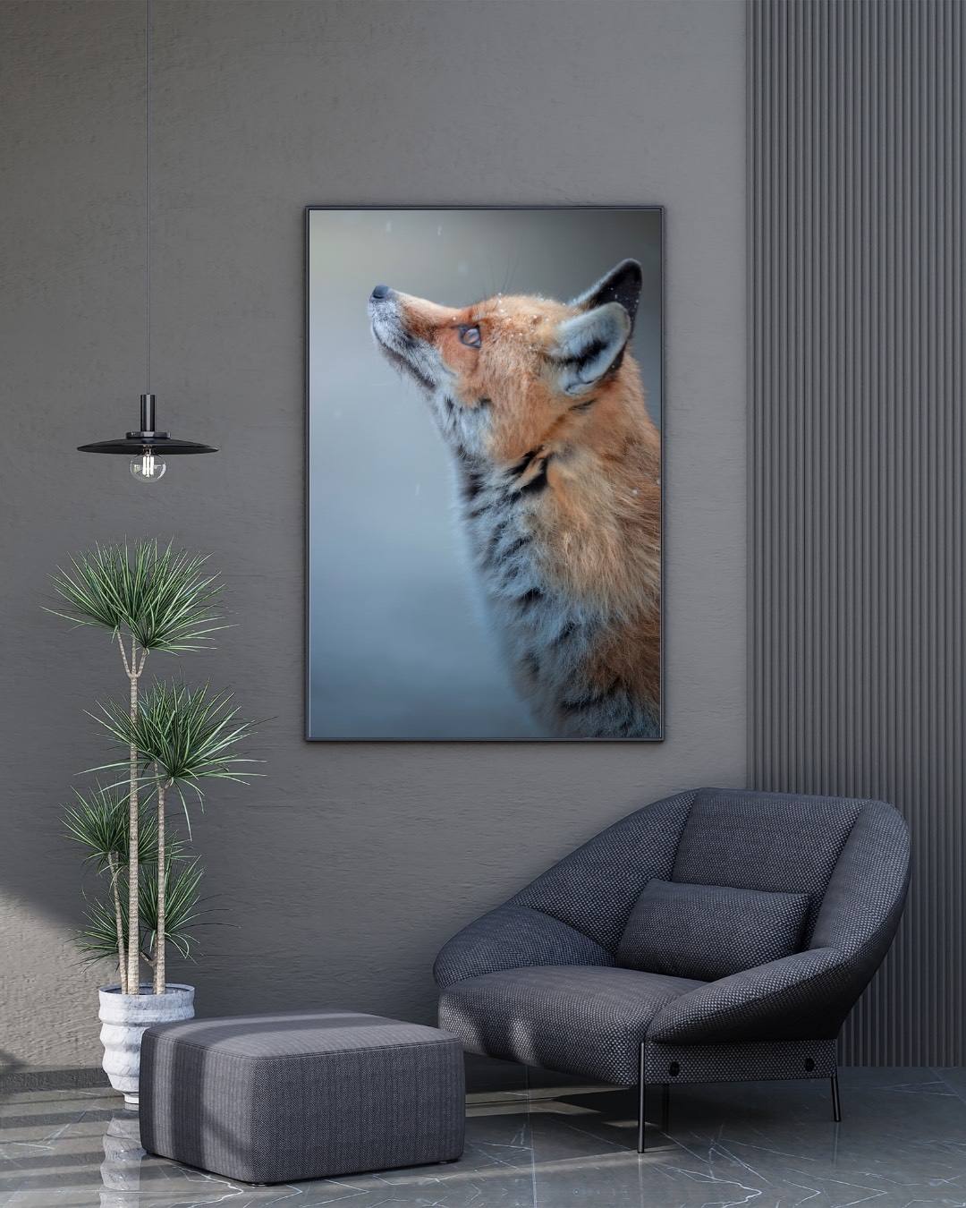 Alessandro Di Modica - Volpe Dell'Appennino