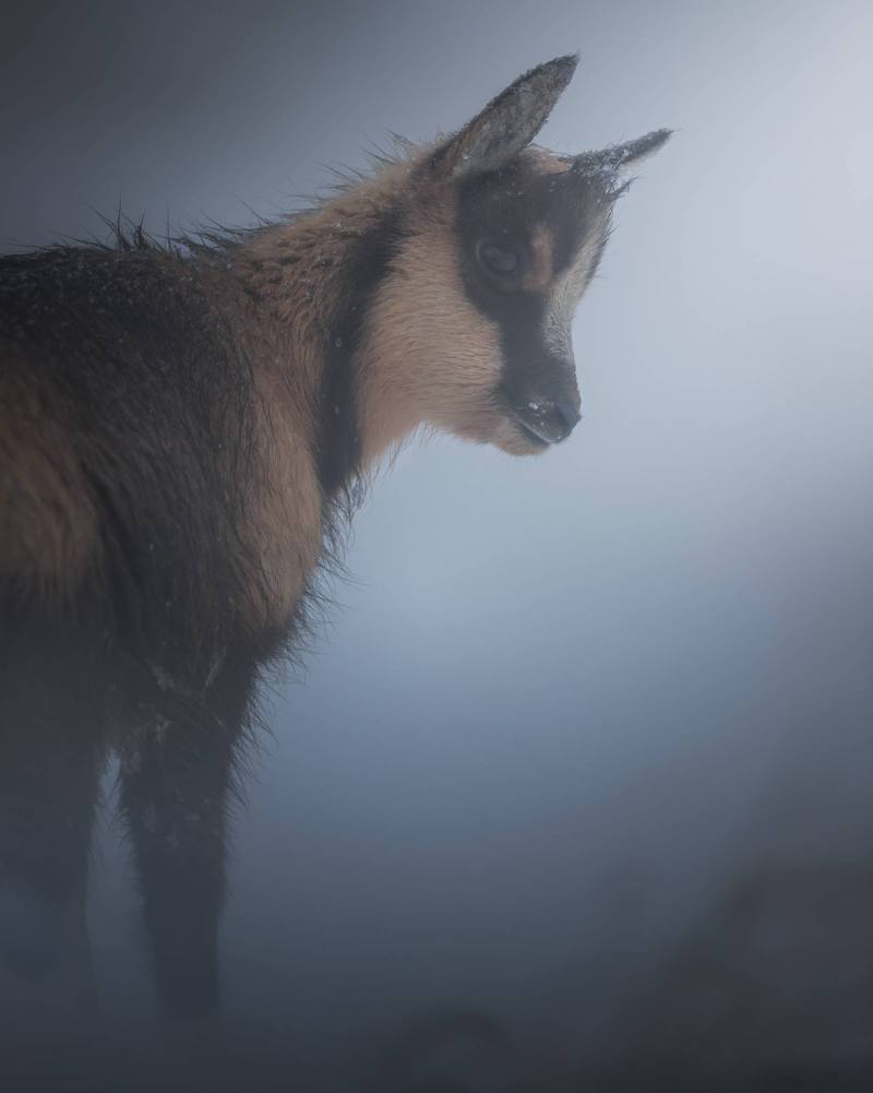 SIBILLINI NATIONAL PARK 28-29 NOVEMBER 2026