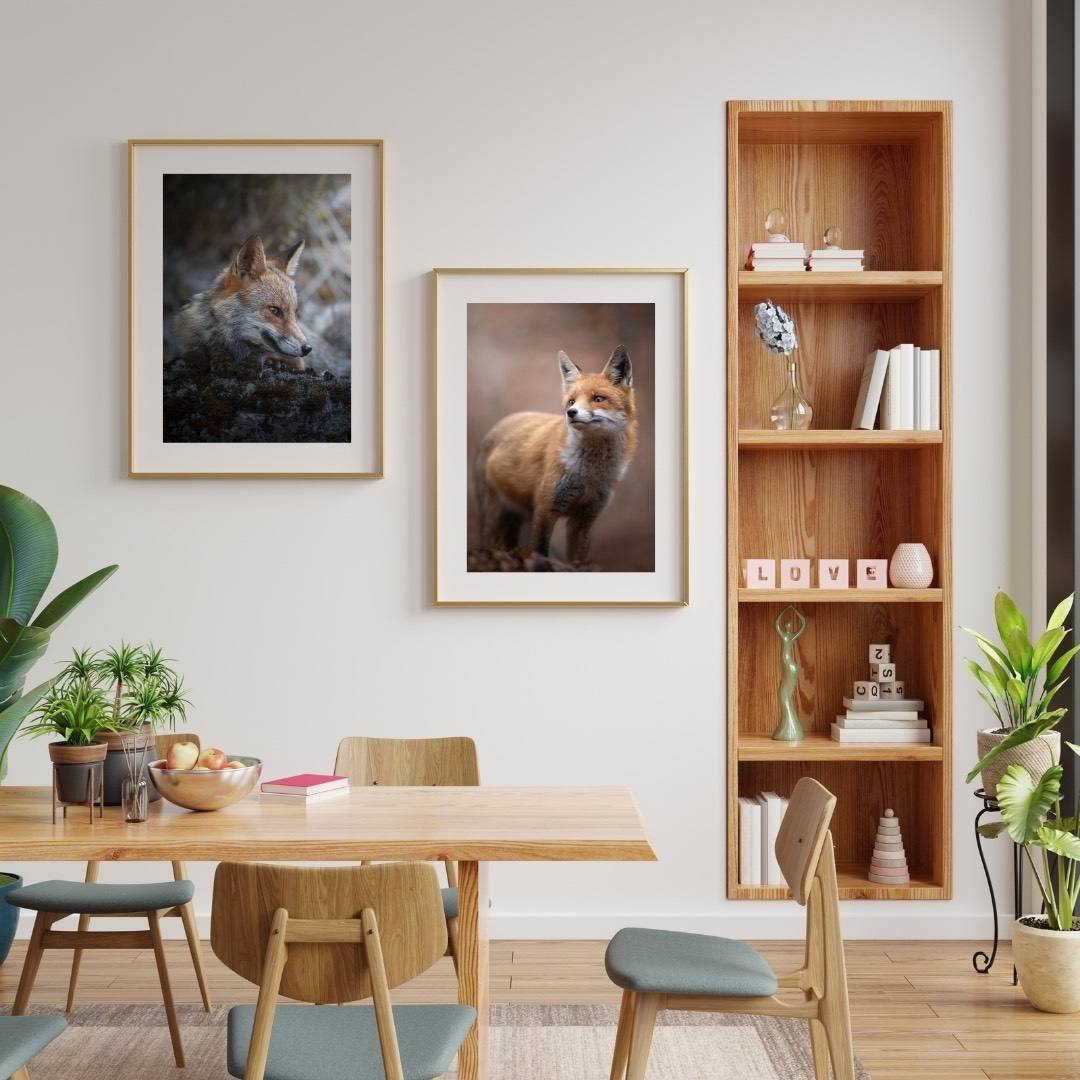 Alessandro Di Modica - Volpe Dell'Appennino