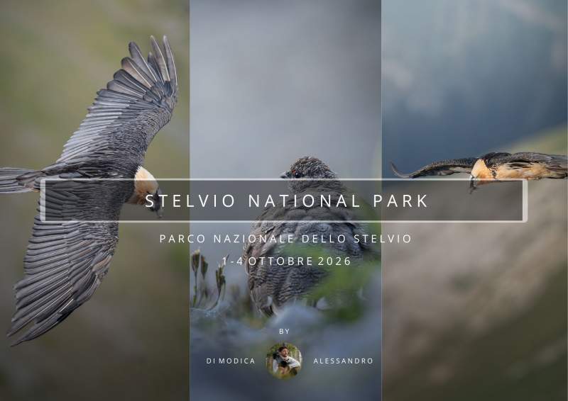 PARCO NAZIONALE DELLO STELVIO