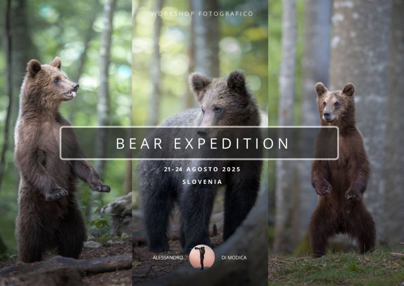 BEAR EXPEDITION 21-24 AUGUST 2025
