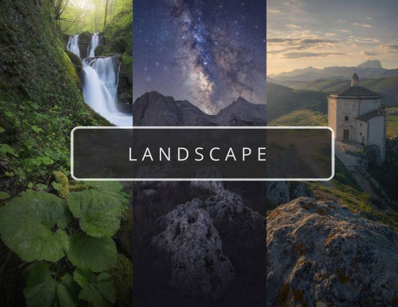 LANDSCAPE