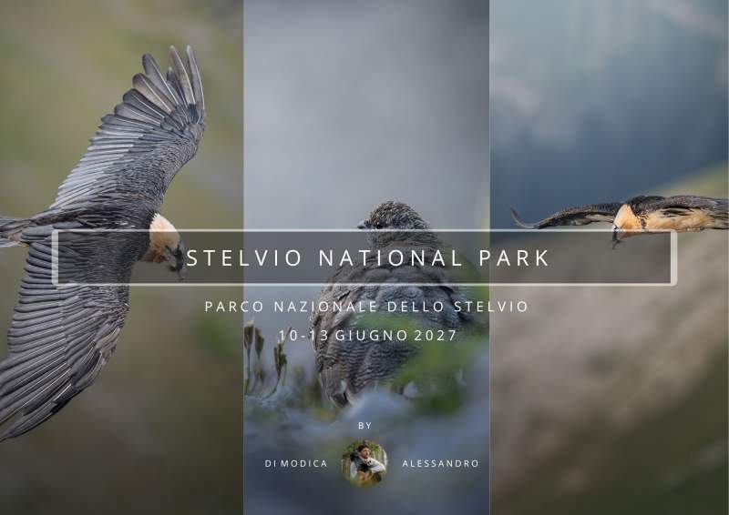 STELVIO NATIONAL PARK 10 - 13 JUNE 2027