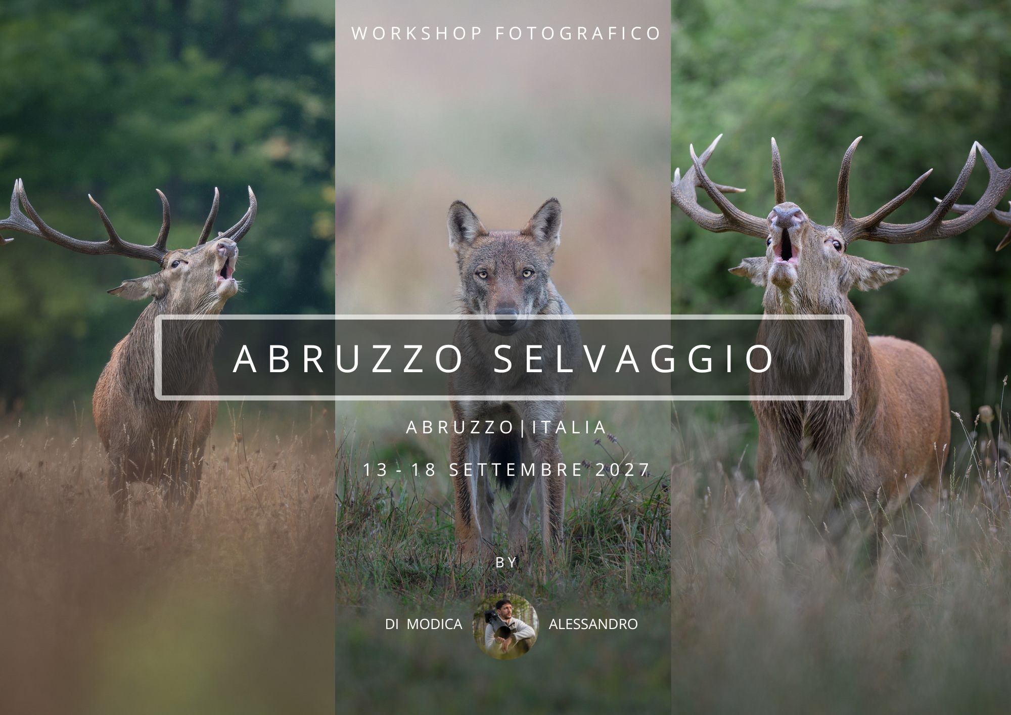 WILD ABRUZZO