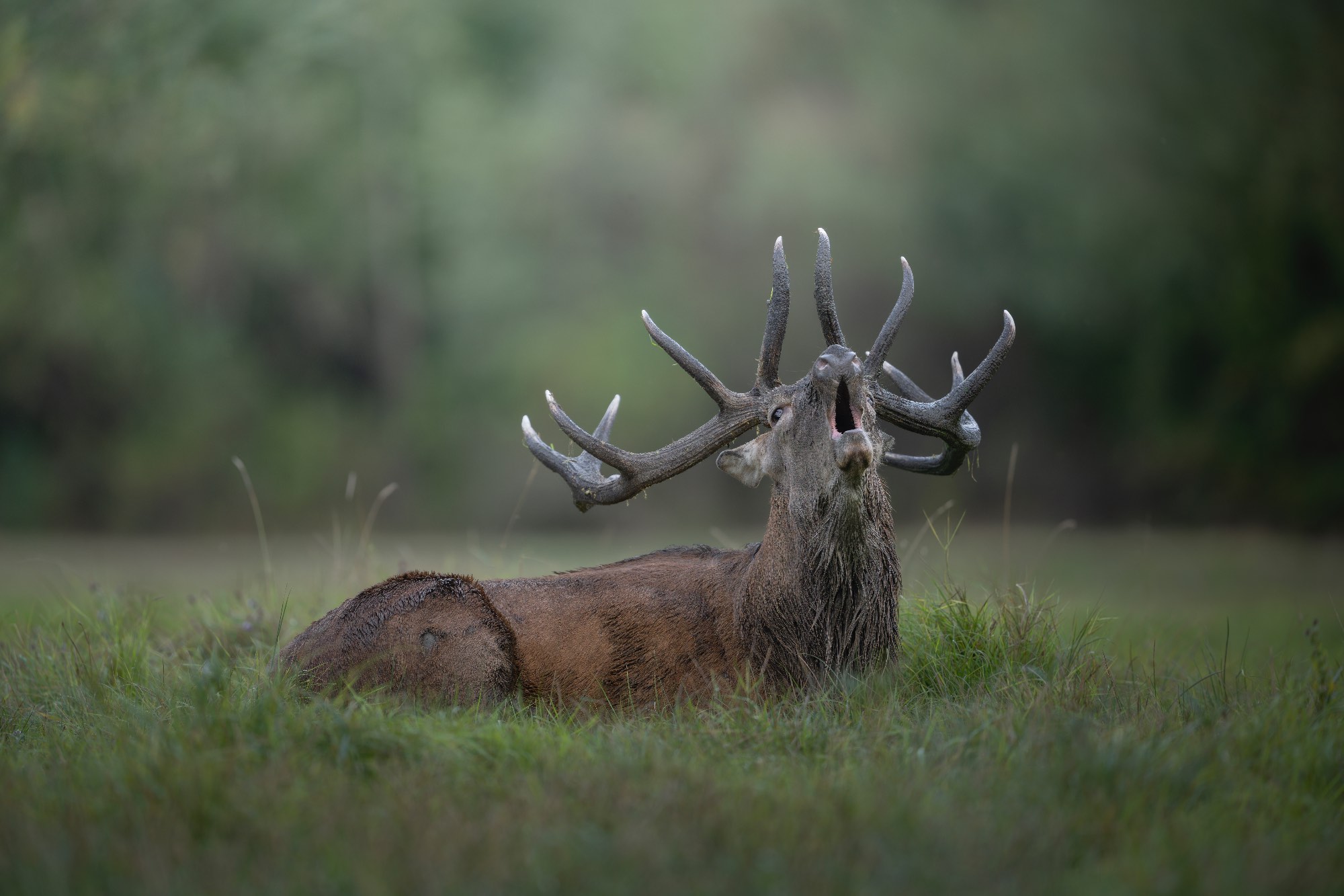 DSC_3973FULLSIZE