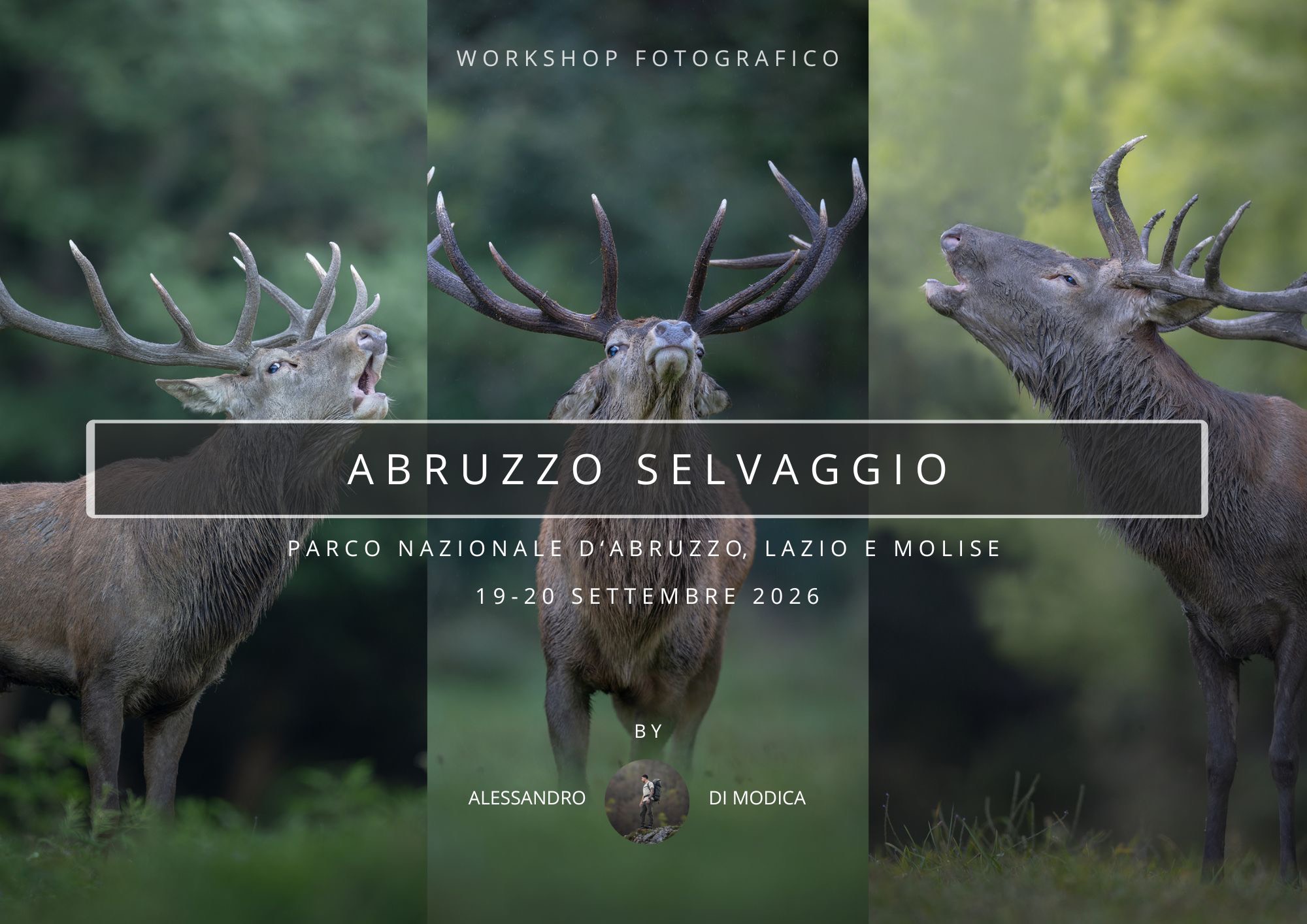 WILD ABRUZZO