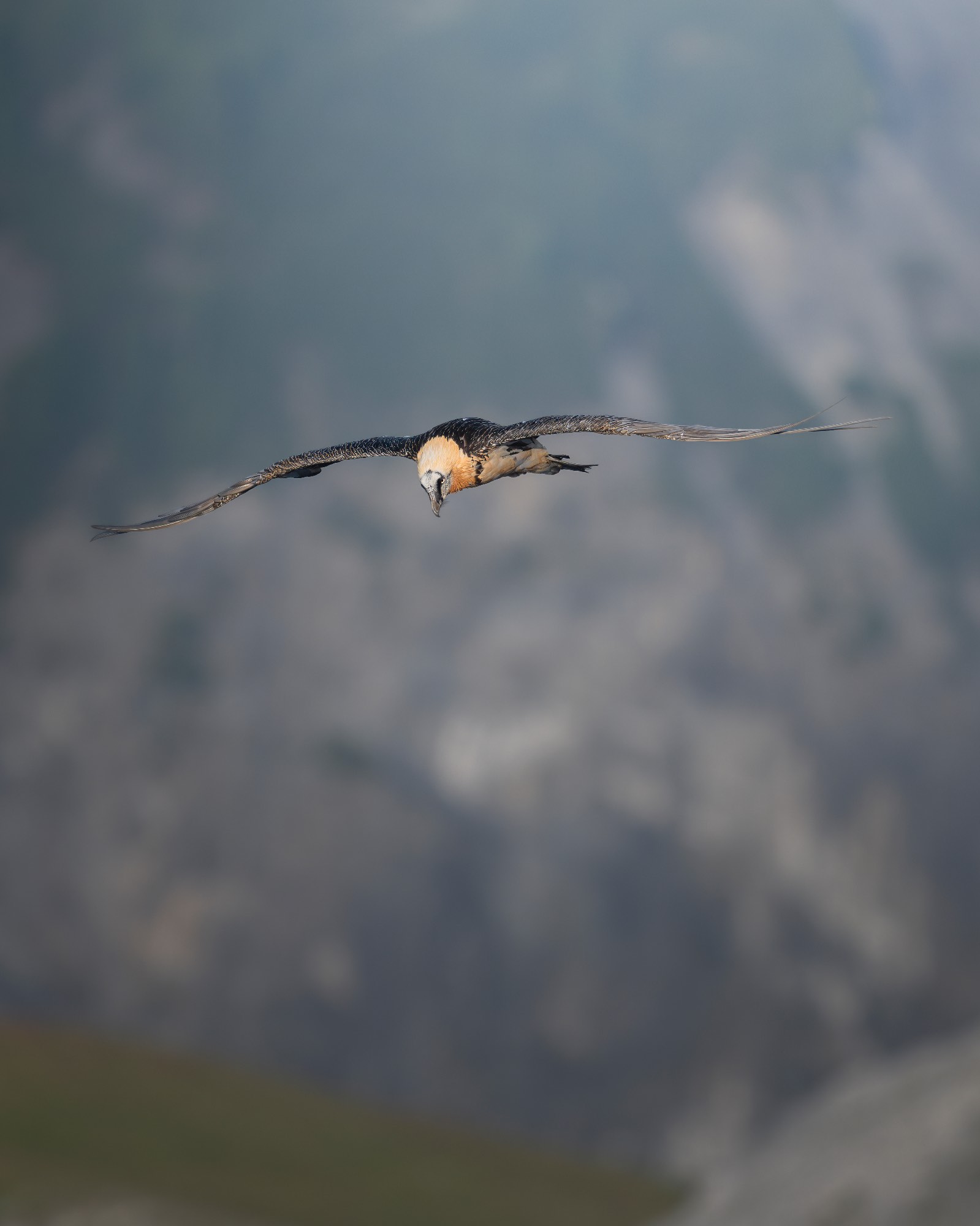 DSC_8838 DSC_8838