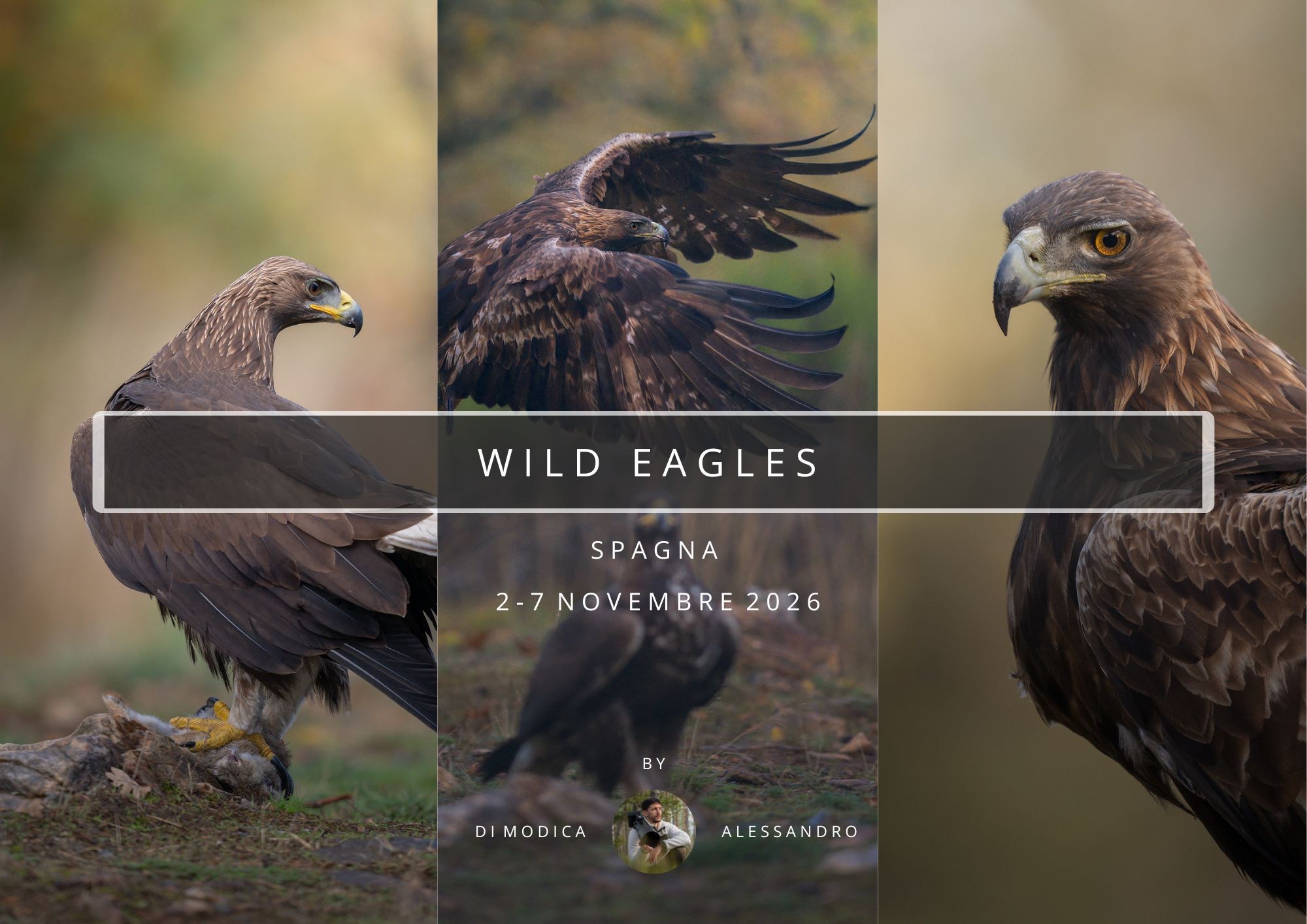 WILD EAGLES
