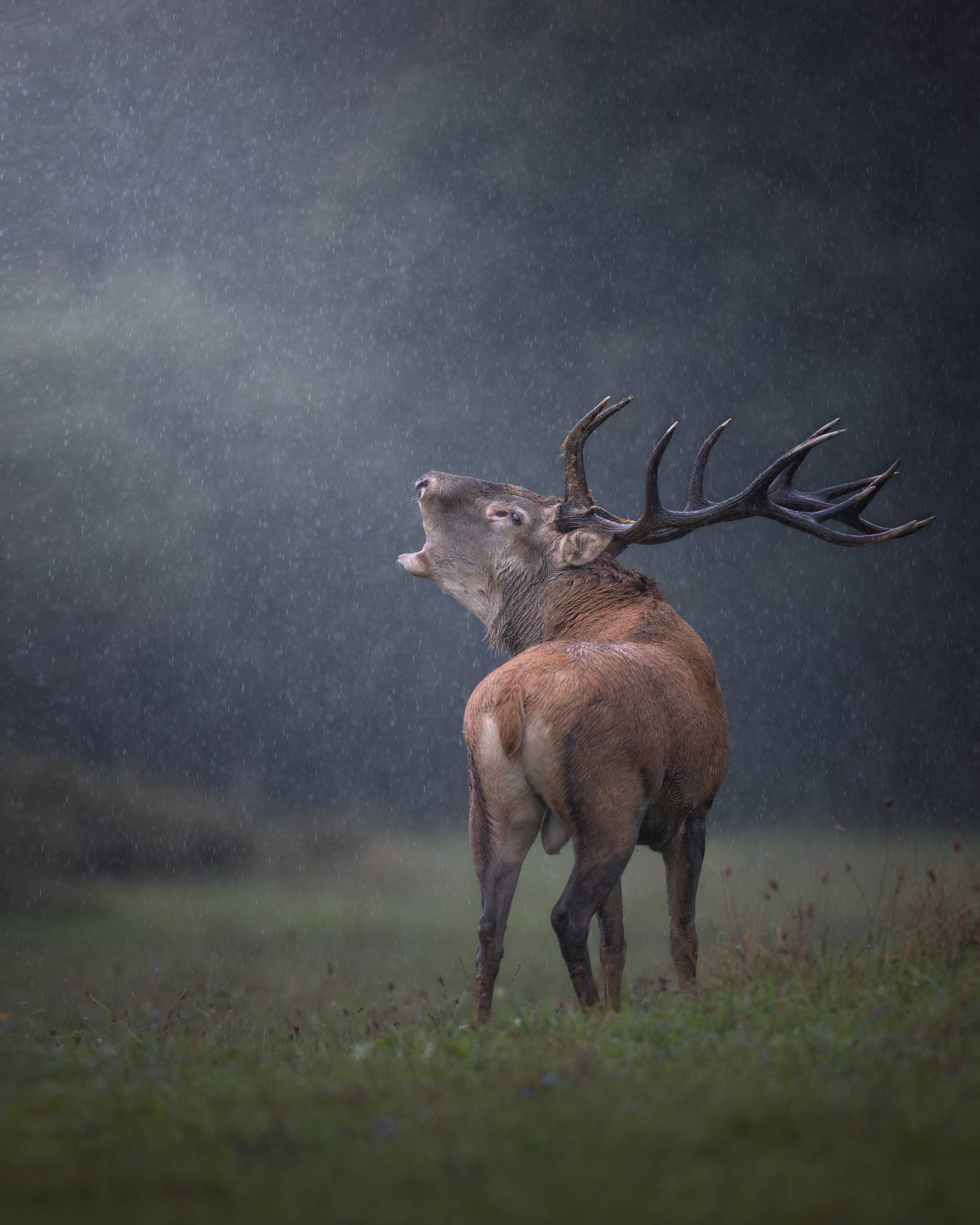 _E4A7663FULLSIZE _E4A7663FULLSIZE