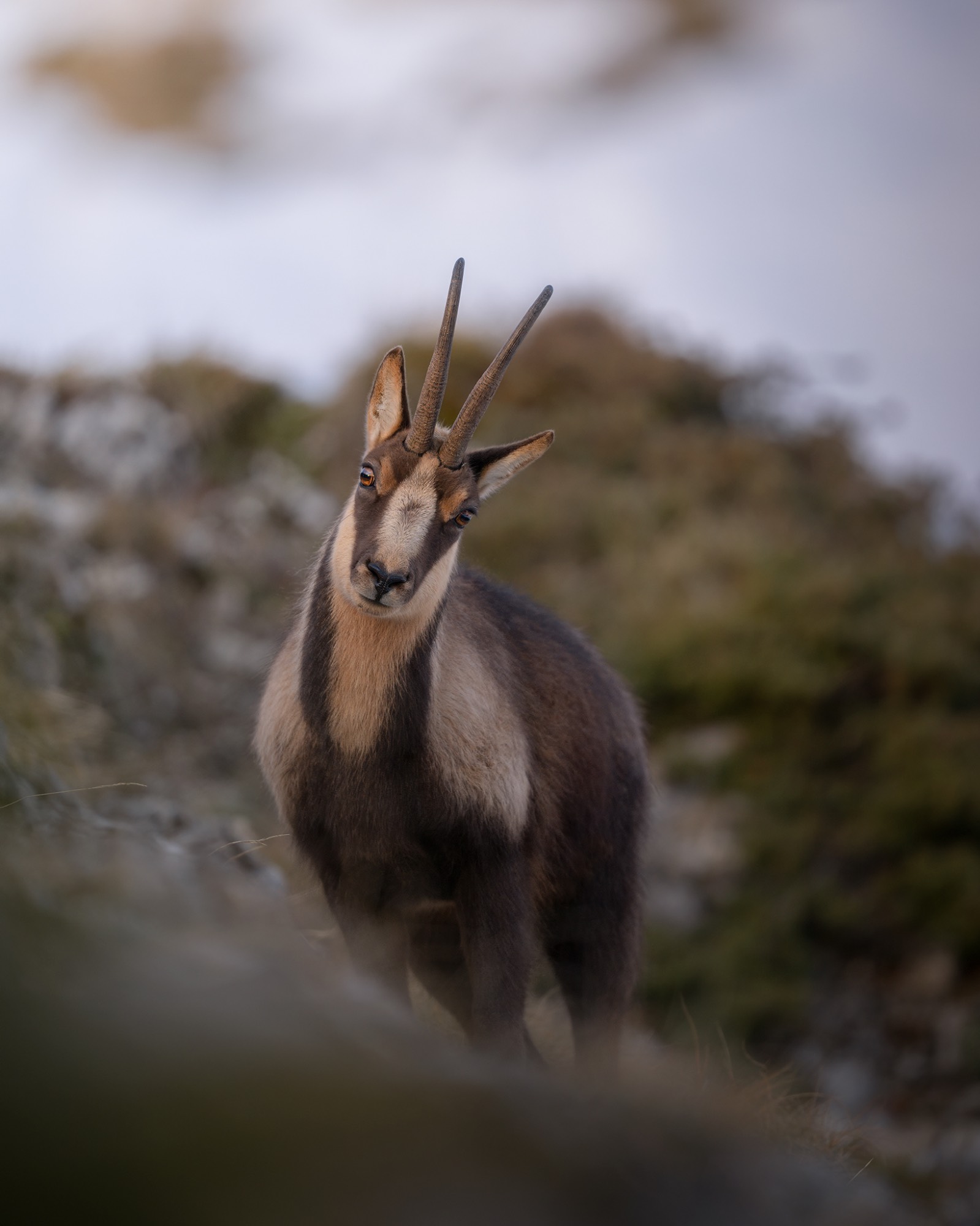DSC_3144WEB DSC_3144WEB