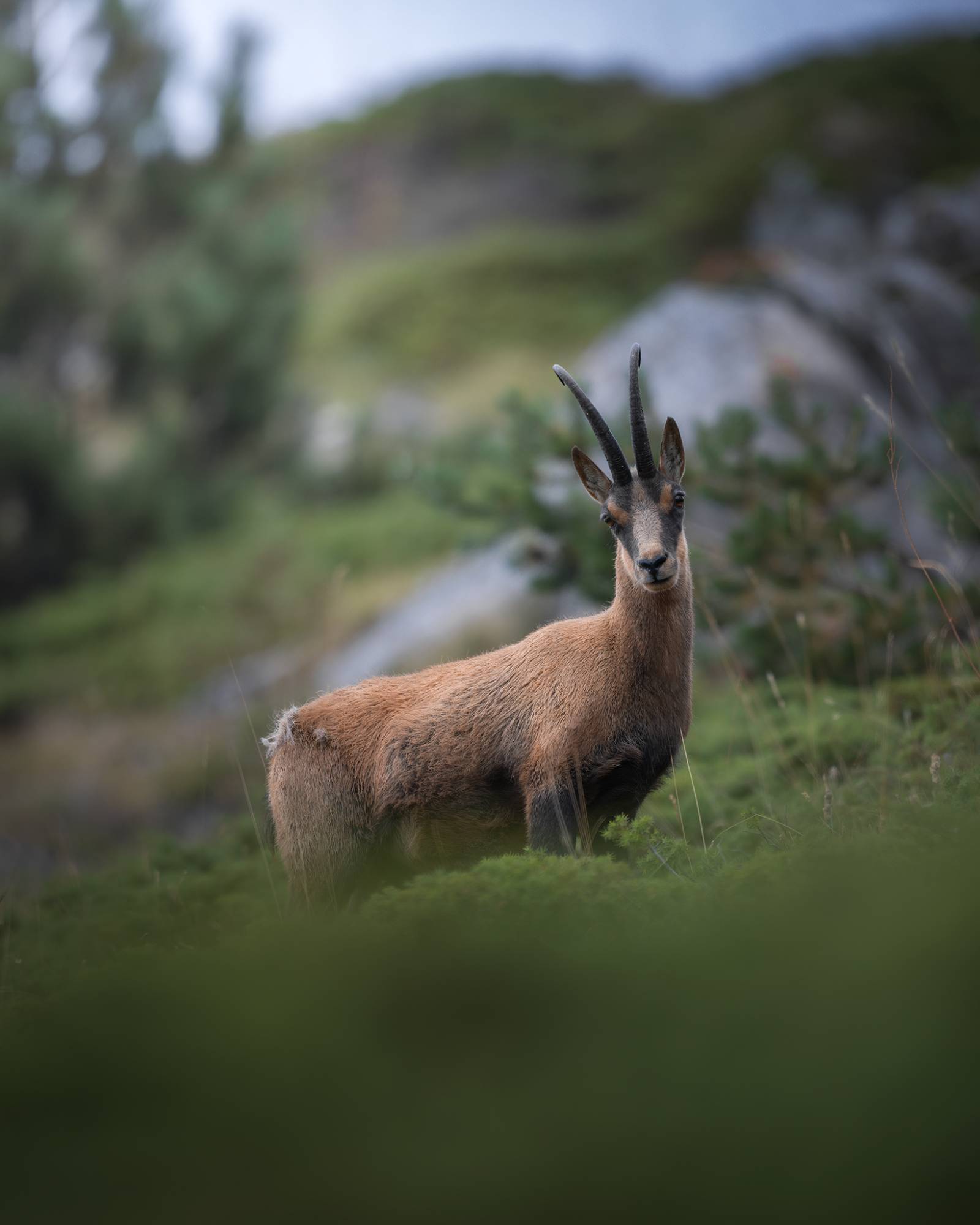 _E4A0269-WEB _E4A0269-WEB