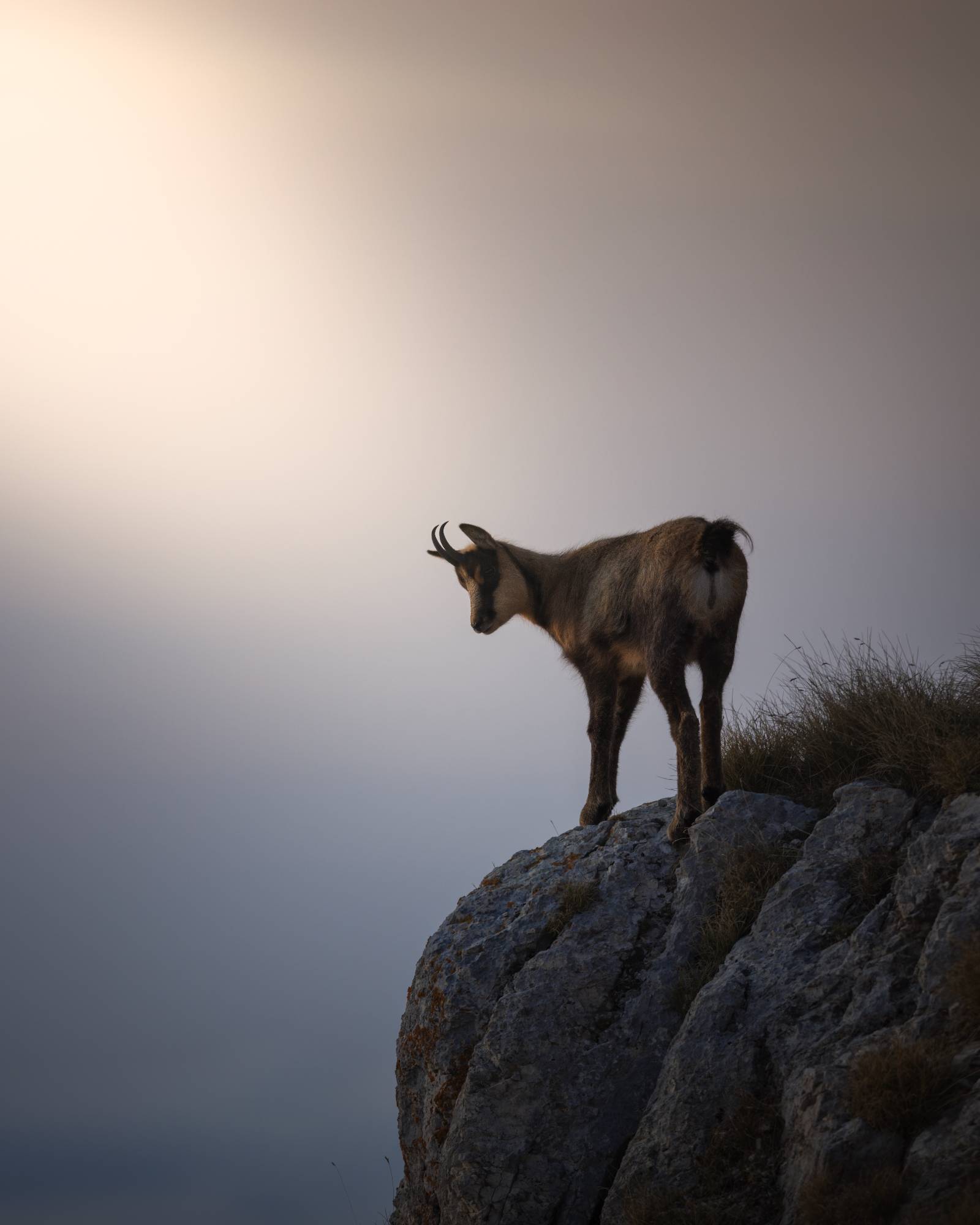 _E4A1558.FULLSIZEjpg