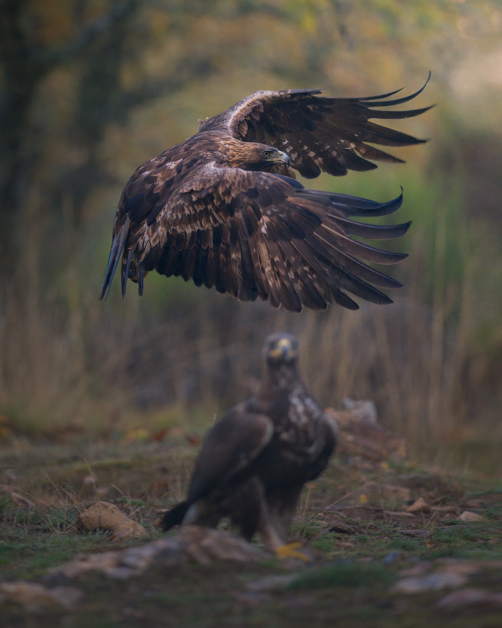 Z91_3120WEB Z91_3120WEB