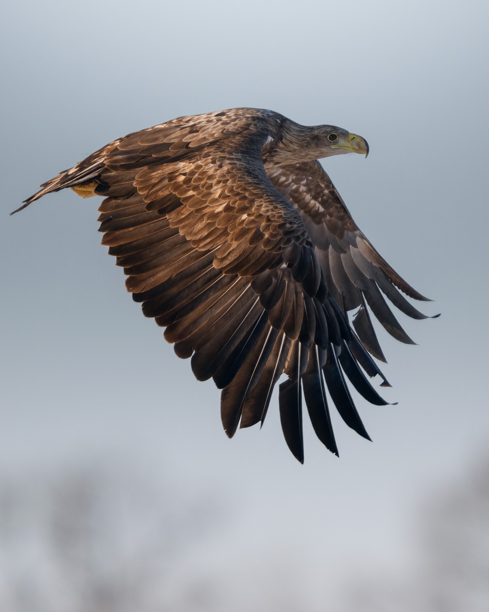 DSC_3893WEB DSC_3893WEB