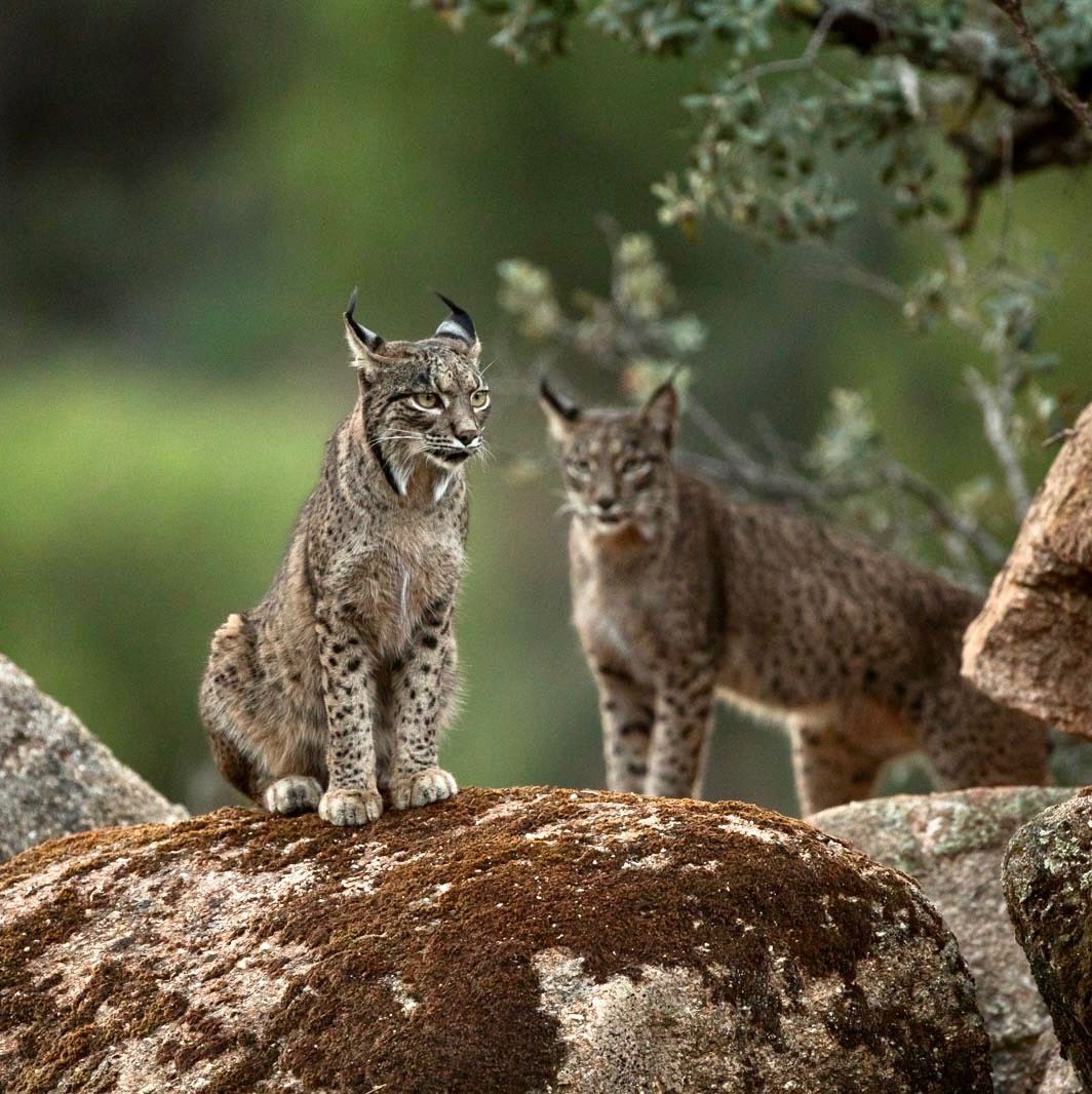 9d2712cf-989a-4abc-b394-5cdadfac3240