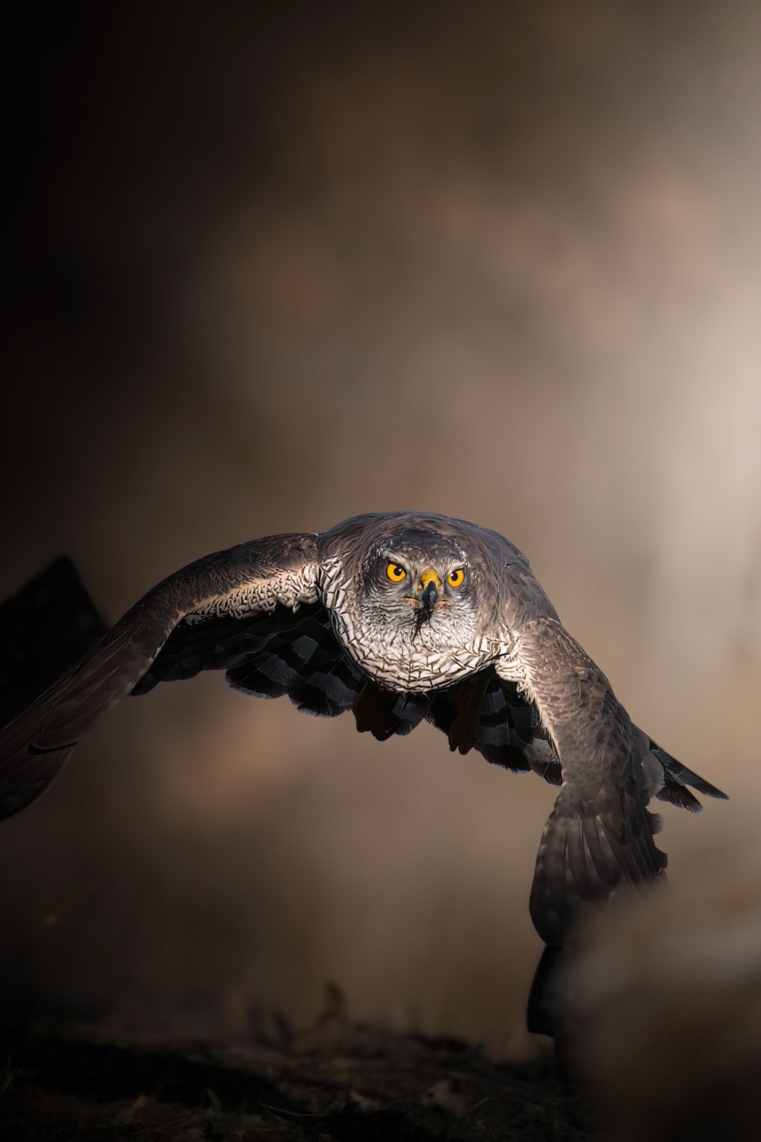 1319f531-6080-4a88-86b1-2463210d142a