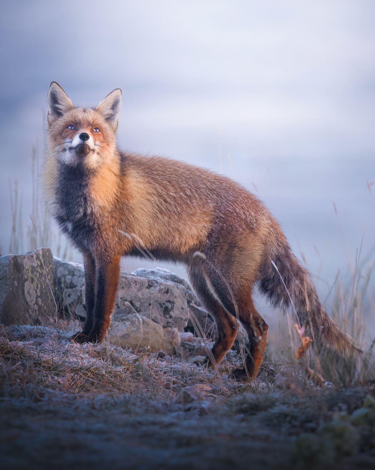 c2b80157-2b15-4bc9-a37d-c25147f7230a